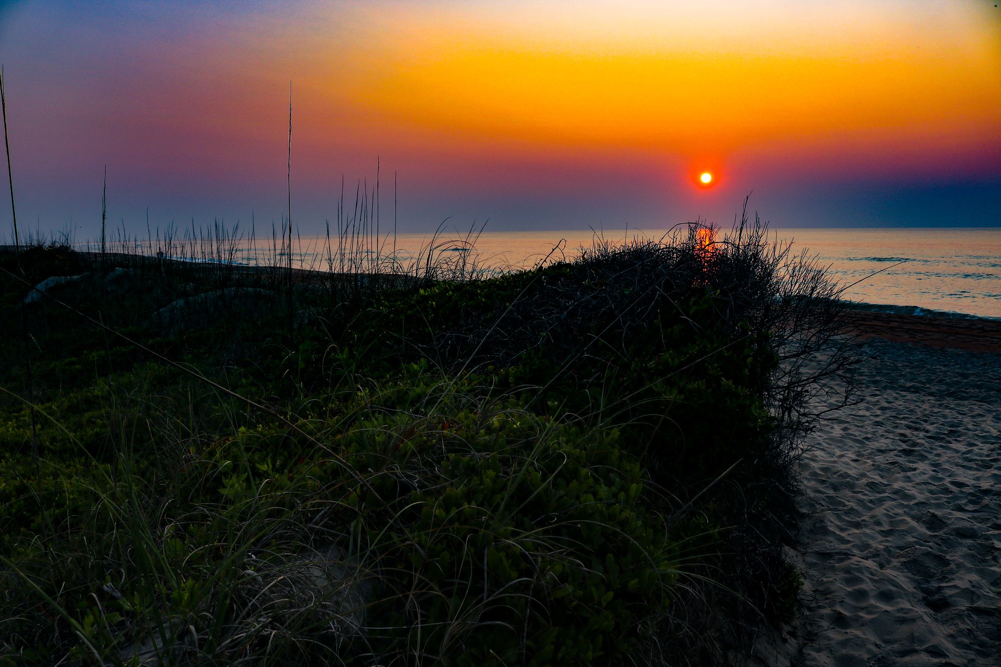 A red sun rising over the ocean behind dune grass